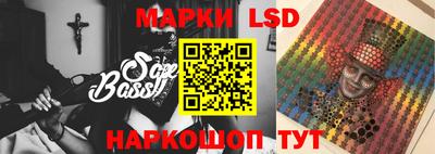 индика Заволжье