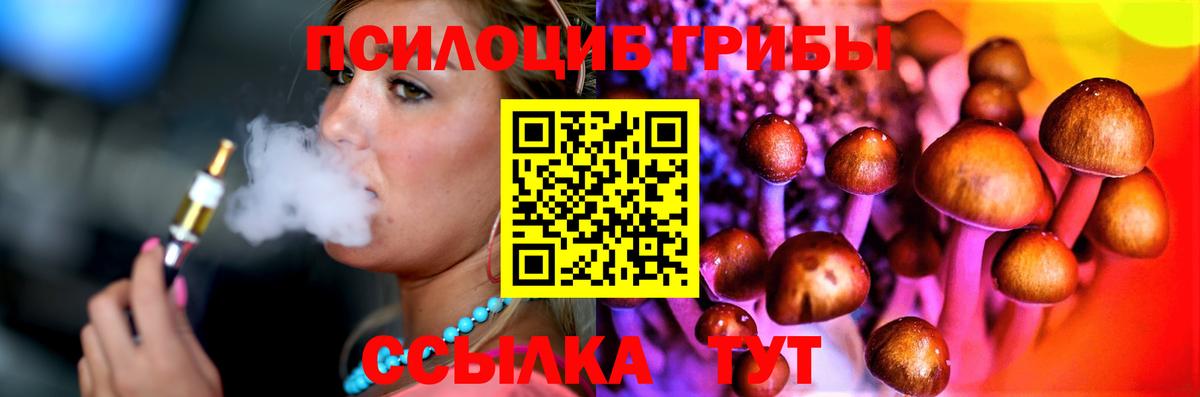 Псилоцибиновые грибы GOLDEN TEACHER  Вход с VPN  Алапаевск 